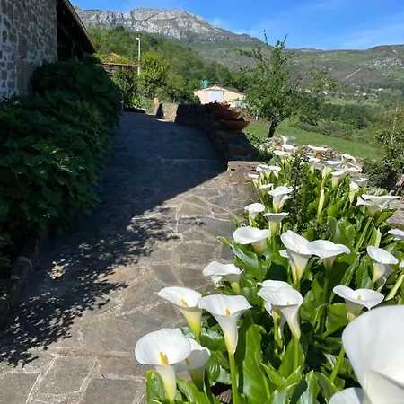 Casa Guadamillas Bustancilles