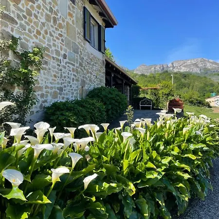 Отель Casa Guadamillas Bustancilles