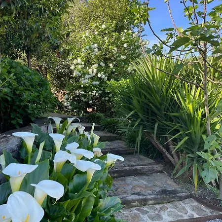 Hotel Casa Guadamillas