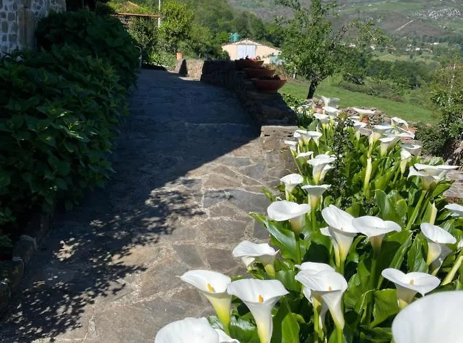 Casa Guadamillas Bustancilles