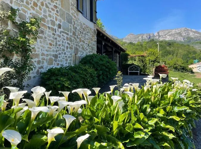 Hotell Casa Guadamillas Bustancilles