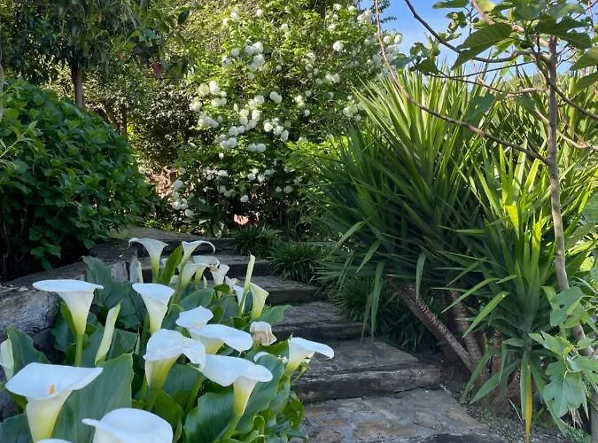 Hotell Casa Guadamillas